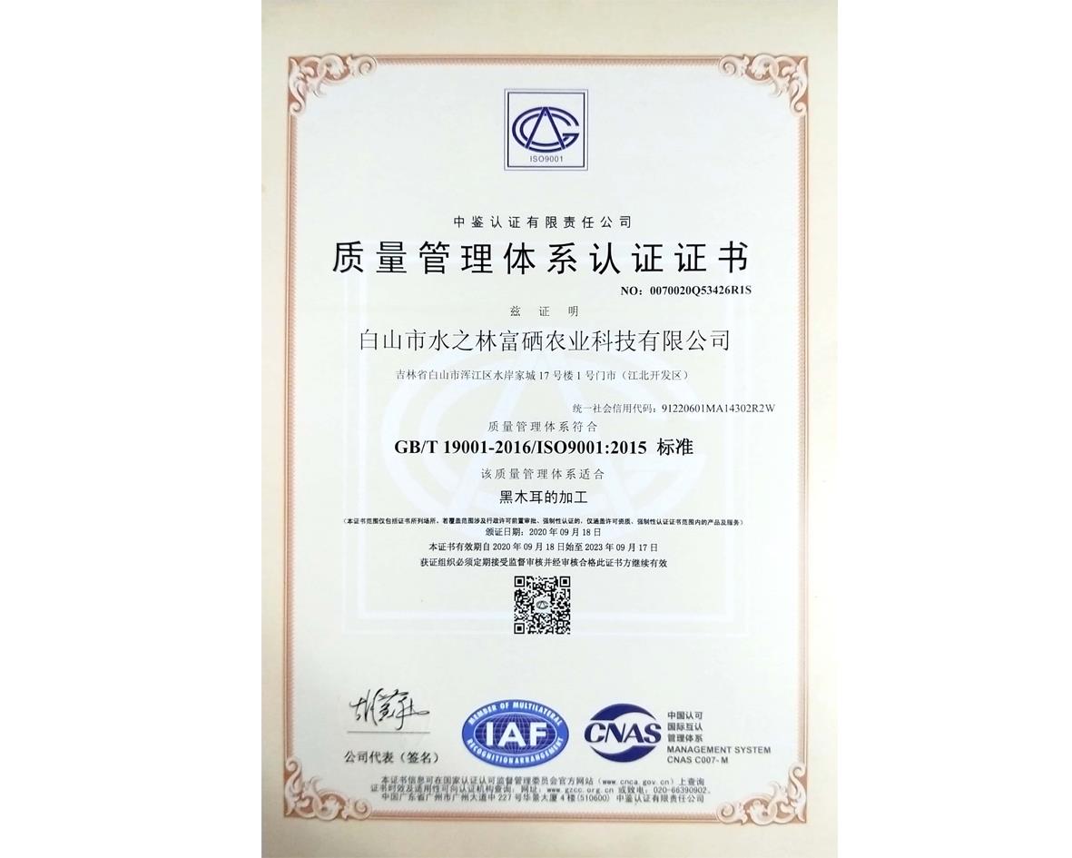 质量管理体系认证