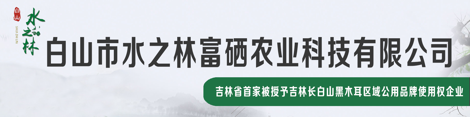 公司介绍