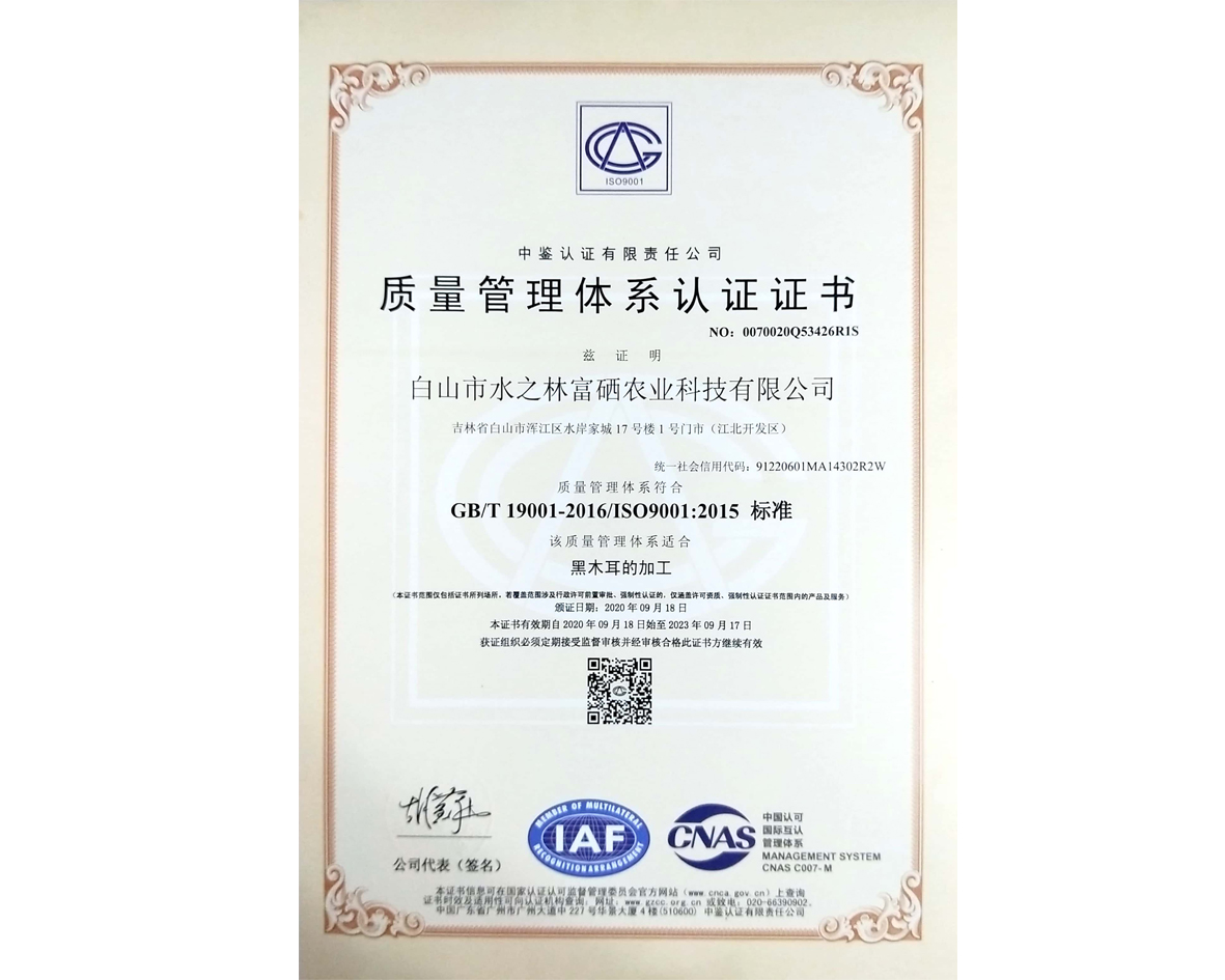 质量管理体系认证