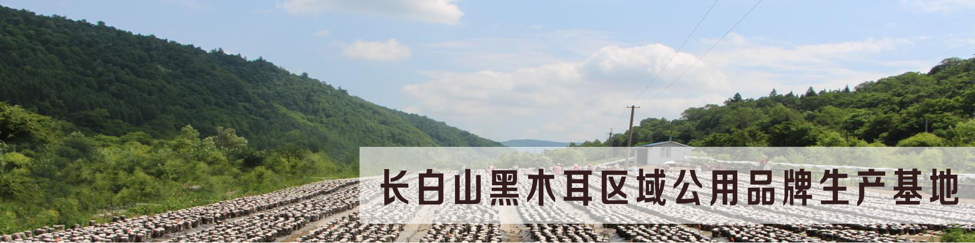 基地展示