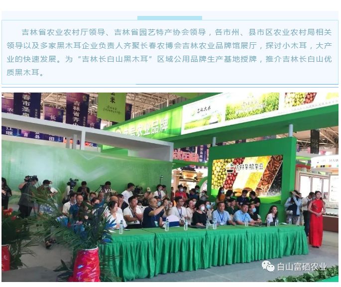 水之林富硒农业荣获“吉林长白山黑木耳”区域公用品牌，闪耀第十九届农博会！