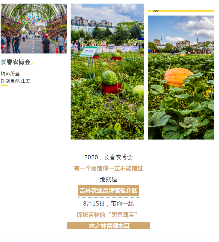 2020年长春农博会--水之林富硒农业参展(图5)
