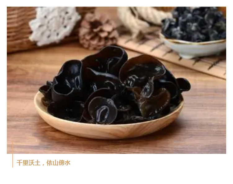 2020年长春农博会--水之林富硒农业参展(图8)