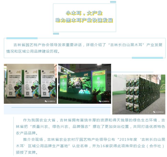 水之林富硒农业荣获“吉林长白山黑木耳”区域公用品牌，闪耀第十九届农博会！(图2)