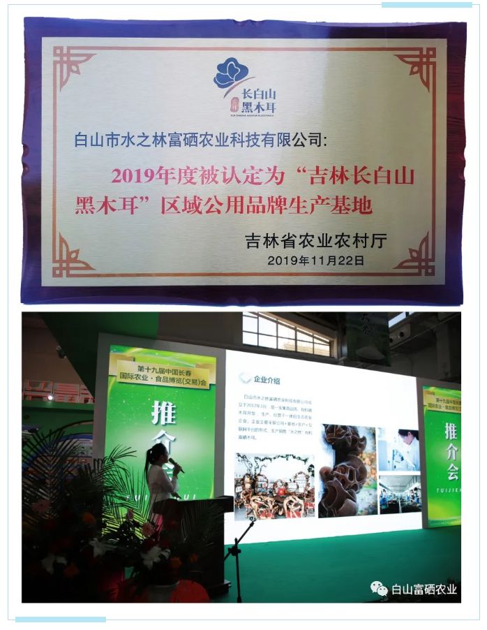 水之林富硒农业荣获“吉林长白山黑木耳”区域公用品牌，闪耀第十九届农博会！(图3)