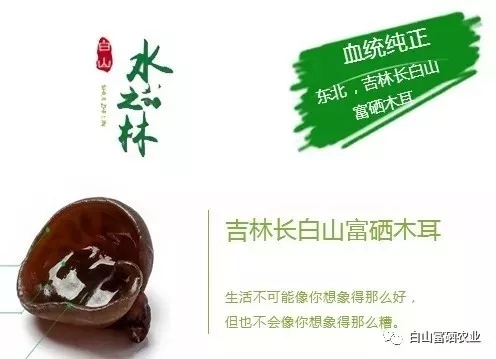 水之林富硒农业--木耳种植基地
