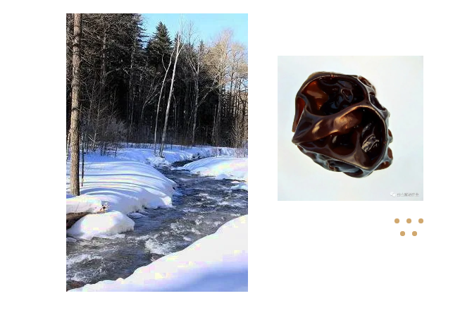 感受冰雪奇缘 寻味林海奇珍(图2)