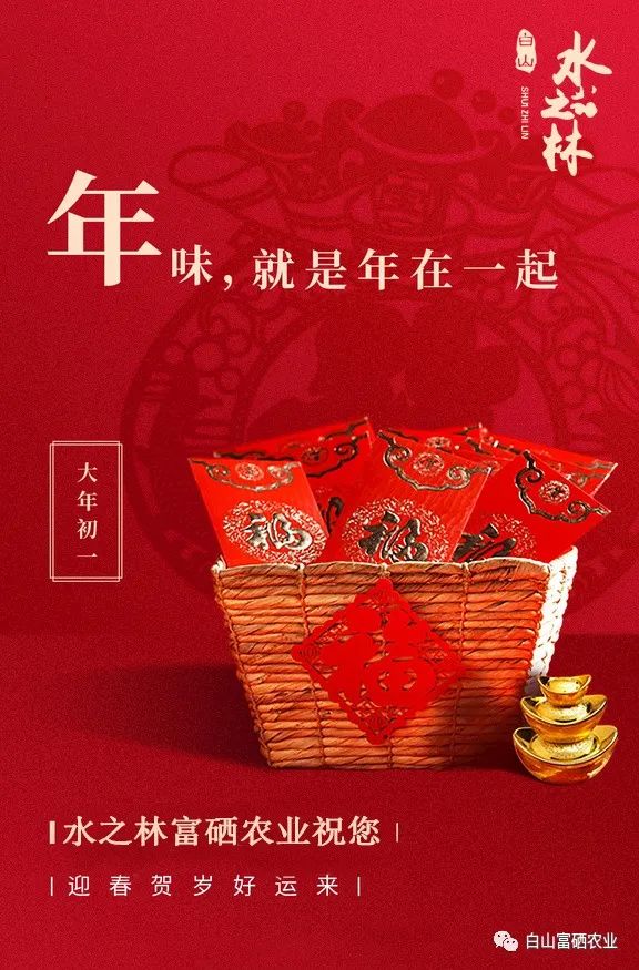 大年初一 丨 迎春贺岁好运来(图1)