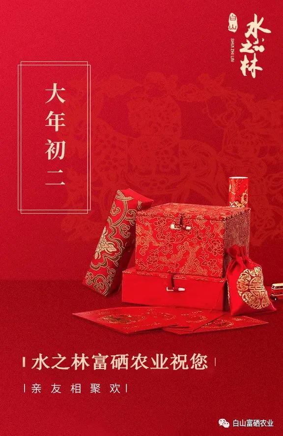 大年初二 丨 眉开眼笑回娘家 福到运到祭财神(图1)