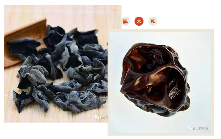 热量低到爆表食物真的存在吗？(图2)
