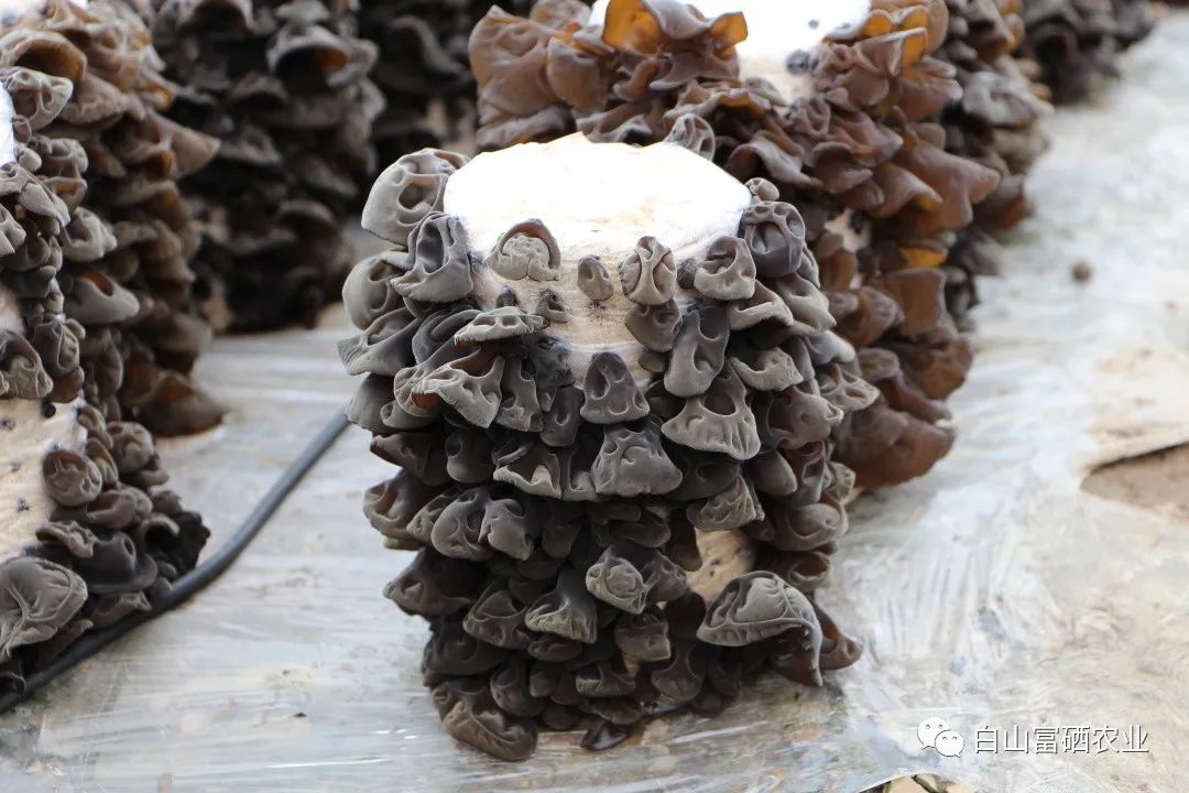 热量低到爆表食物真的存在吗？(图3)