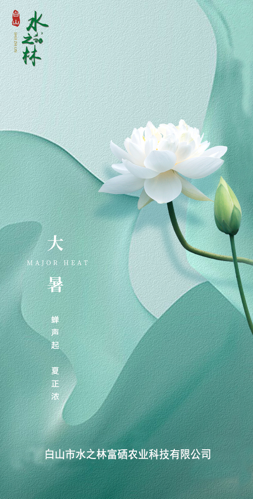 大暑 丨 蝉声起 夏正浓(图1)