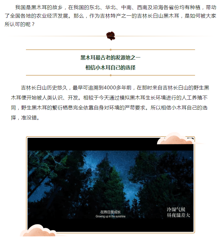 对方拍了拍“你”，并送你一份黑木耳选购指南(图1)