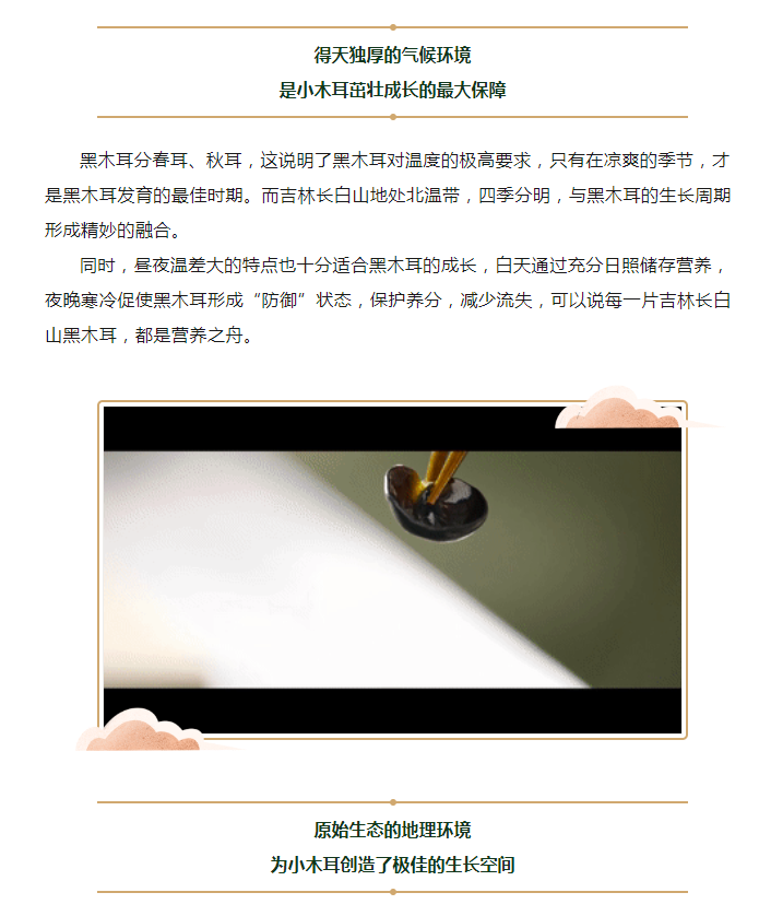 对方拍了拍“你”，并送你一份黑木耳选购指南(图2)