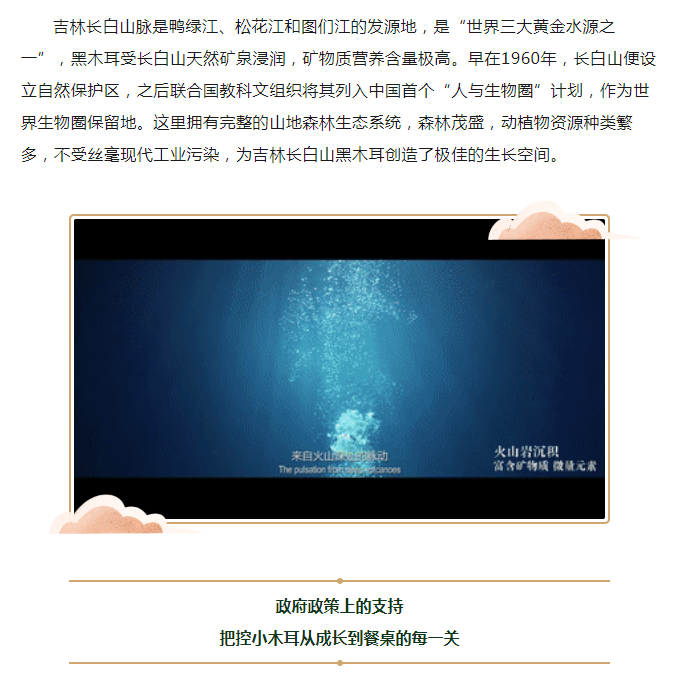 对方拍了拍“你”，并送你一份黑木耳选购指南(图3)