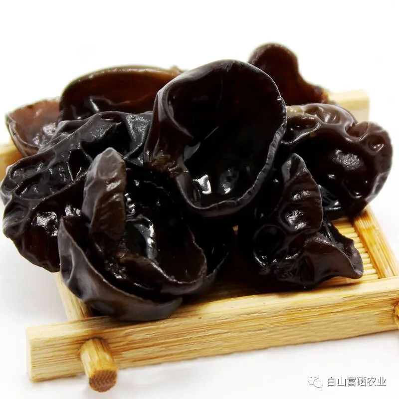 推荐丨白山黑水间的水之林有机富硒木耳(图2)