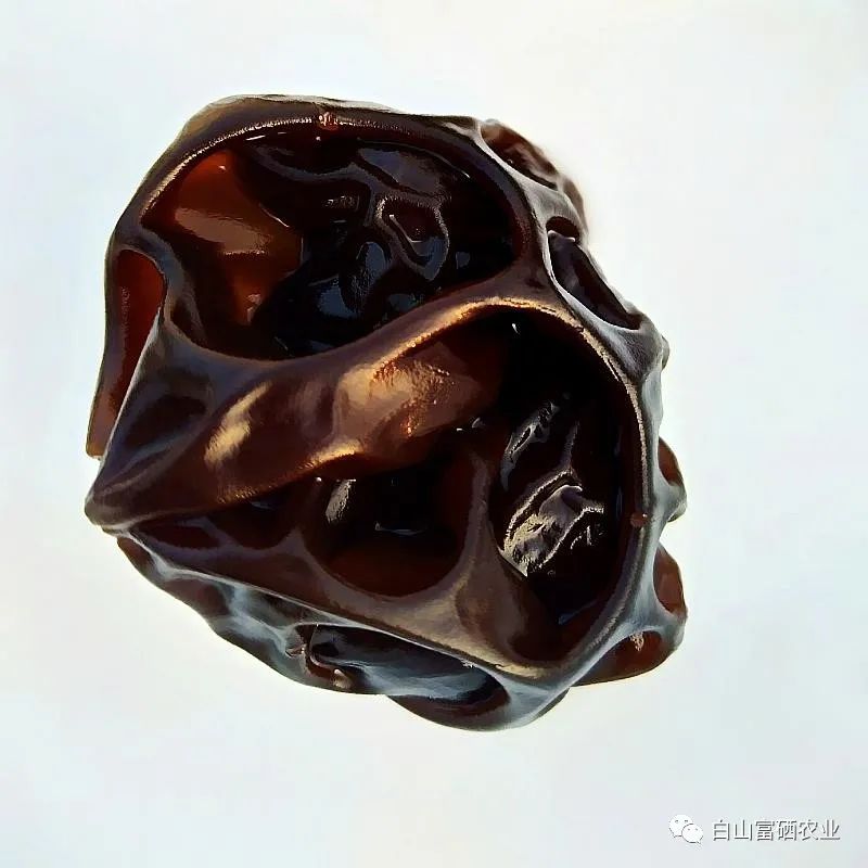 推荐丨白山黑水间的水之林有机富硒木耳(图5)