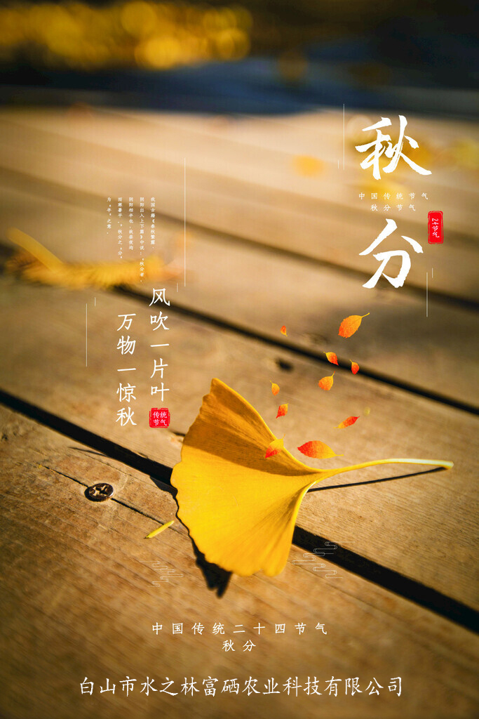 秋分 丨 风吹一片叶，万物一惊秋(图1)
